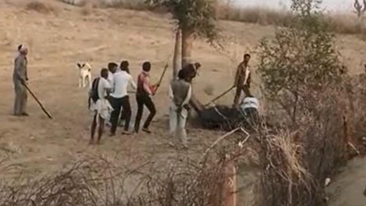 உரிமையாளரின் தலையை கடித்துத் துப்பிய ஒட்டகம்.. ராஜஸ்தானில் நடந்த கொடூர சம்பவம்!