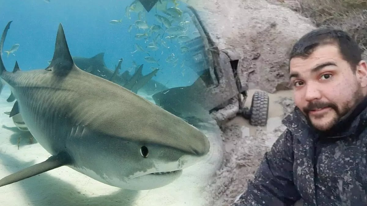 8 நாட்களுக்கு முன்னர் காணாமல் போன கணவர்.. சுறா மீன் வயிற்றுக்குள் கண்டுபிடித்த சோகம்.. என்ன நடந்தது?