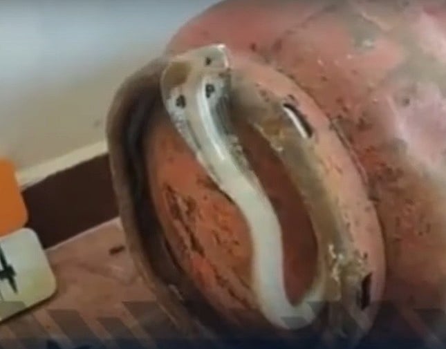 மக்களே உஷார்.. சமயலறையில் ‘உஷ்..’ என்று கேட்ட சத்தம்: சிலிண்டரை தூக்கி பார்த்தபோது காத்திருந்த அதிர்ச்சி!