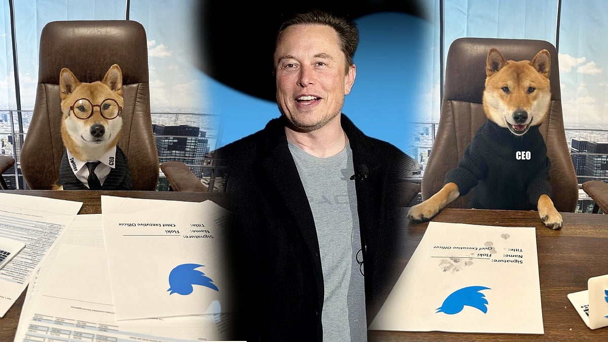 “தலைவருக்கு குசும்ப பாத்தீங்களா..” -ட்விட்டர் CEO சீட்டில் வளர்ப்பு நாய்.. எலான் மஸ்க் பதிவால் சலசலப்பு !