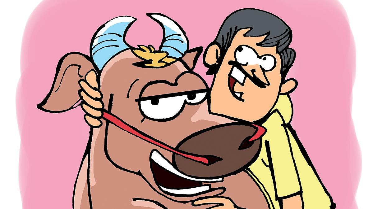 கடும் எதிர்ப்பு.. Trolls.. Memes.. - திரும்ப பெறப்பட்ட Cow Hug Day 2023 : விலங்குகள் நல வாரியம் அறிவிப்பு