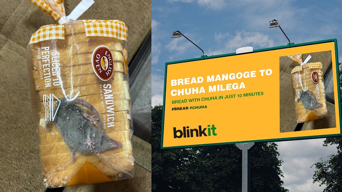 Online Order பரிதாபங்கள் : Bread Packet-க்குள் உயிரோடு இருந்த எலி.. உறைந்துபோன வாடிக்கையாளர் - VIDEO !