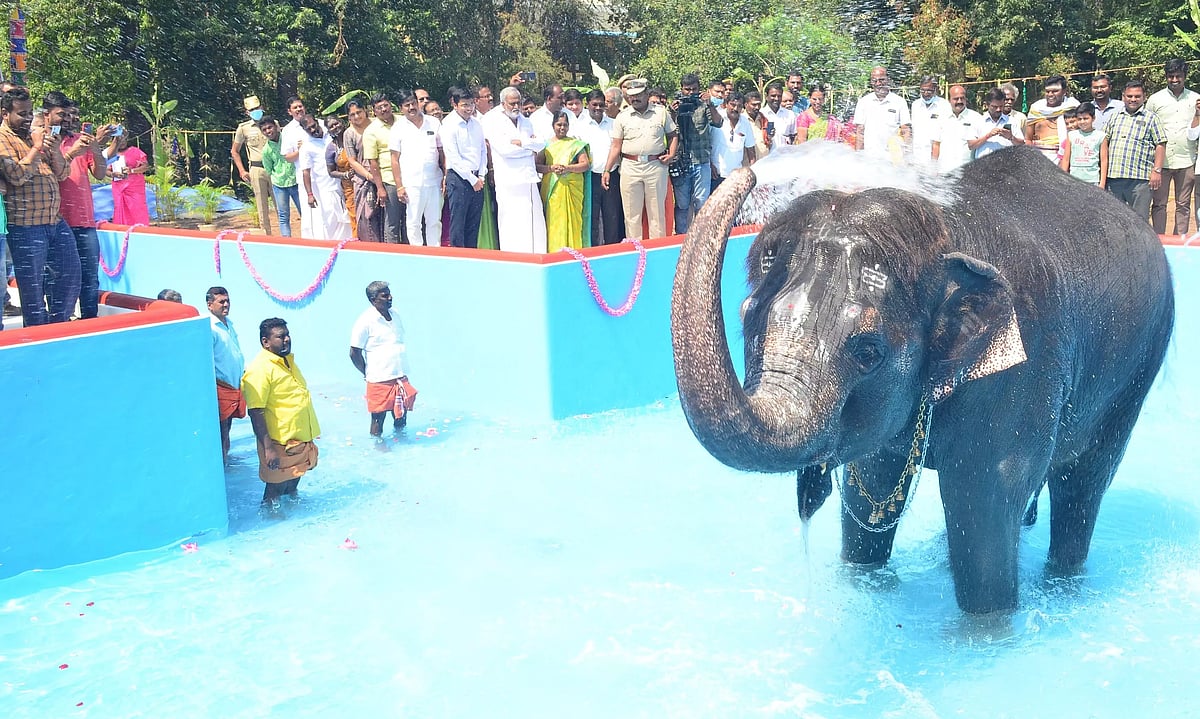 “விஷமத்தனமான செய்திகளை வெளியிடுவதுதான் அவருக்கு வேலையே..” -வானதி சீனிவாசனுக்கு அமைச்சர் சேகர்பாபு பதிலடி!