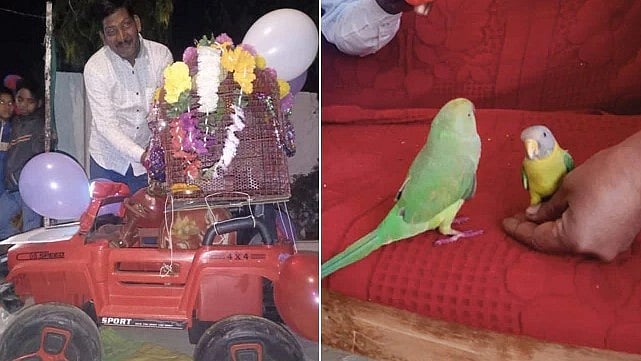 மேளதாளத்துடன் கிளிகளுக்கு  திருமணம்.. பாசமாக வளர்த்த கிளியை மாமியார் வீட்டிற்கு அனுப்பிவைத்த உரிமையாளர்!