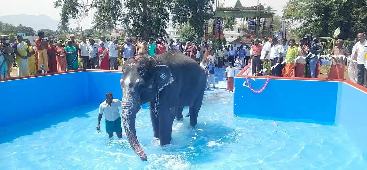 “விஷமத்தனமான செய்திகளை வெளியிடுவதுதான் அவருக்கு வேலையே..” -வானதி சீனிவாசனுக்கு அமைச்சர் சேகர்பாபு பதிலடி!