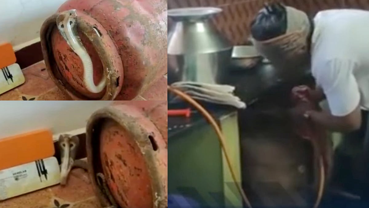மக்களே உஷார்.. சமயலறையில் ‘உஷ்..’ என்று கேட்ட சத்தம்: சிலிண்டரை தூக்கி பார்த்தபோது காத்திருந்த அதிர்ச்சி!