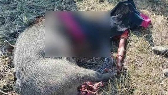 தன் உயிரை கொடுத்து 11 வயது மகள் உயிரைக் காப்பாற்றிய தாய்..  மனதை உலுக்கும் திக் திக் சம்பவம்!