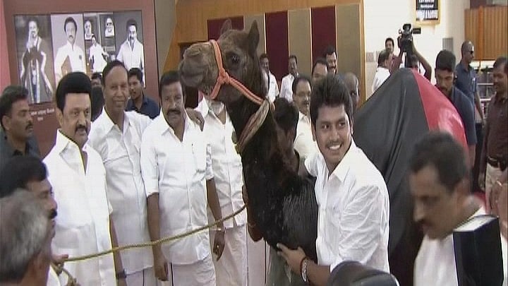 ஒட்டகத்தைப் பிறந்தநாள் பரிசாகக் கொடுத்த தொண்டர்.. ஆச்சரியத்துடன் பார்த்த முதலமைச்சர் மு.க.ஸ்டாலின்!