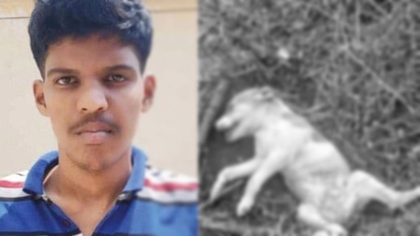 புதிய செருப்பில் அசிங்கம் செய்ததால் நாய் கொலை:  படத்தை பேஸ்புக்கில் வெளியிட்ட வாலிபரை கைது செய்த போலிஸ்!