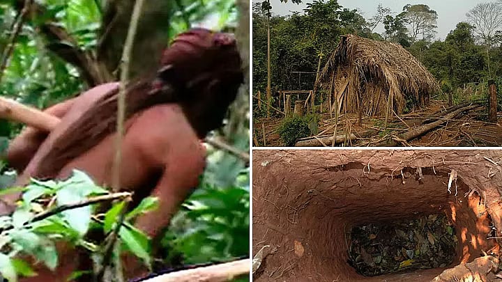 அமேசான் காடுகளில் புதிய பழங்குடி மக்கள் கண்டுபிடிப்பு.. விமானம் மூலம் எடுக்கப்பட்ட புகைப்படங்கள் வைரல் !