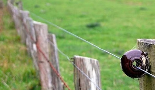 சட்டவிரோதமாக போடப்பட்ட மின்வேலி.. மின்சாரம் தாக்கி 3 பெண் யானைகள் பலி: தாயை இழந்த சோகத்தில்
குட்டி யானை!