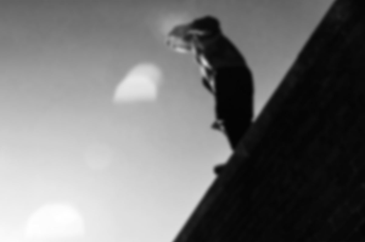 முதல் நாள் ரகளை.. மறுநாள் தற்கொலை முயற்சி.. 4-வது மாடியில் இருந்து குதித்த இளம்பெண் - நடந்தது என்ன ?