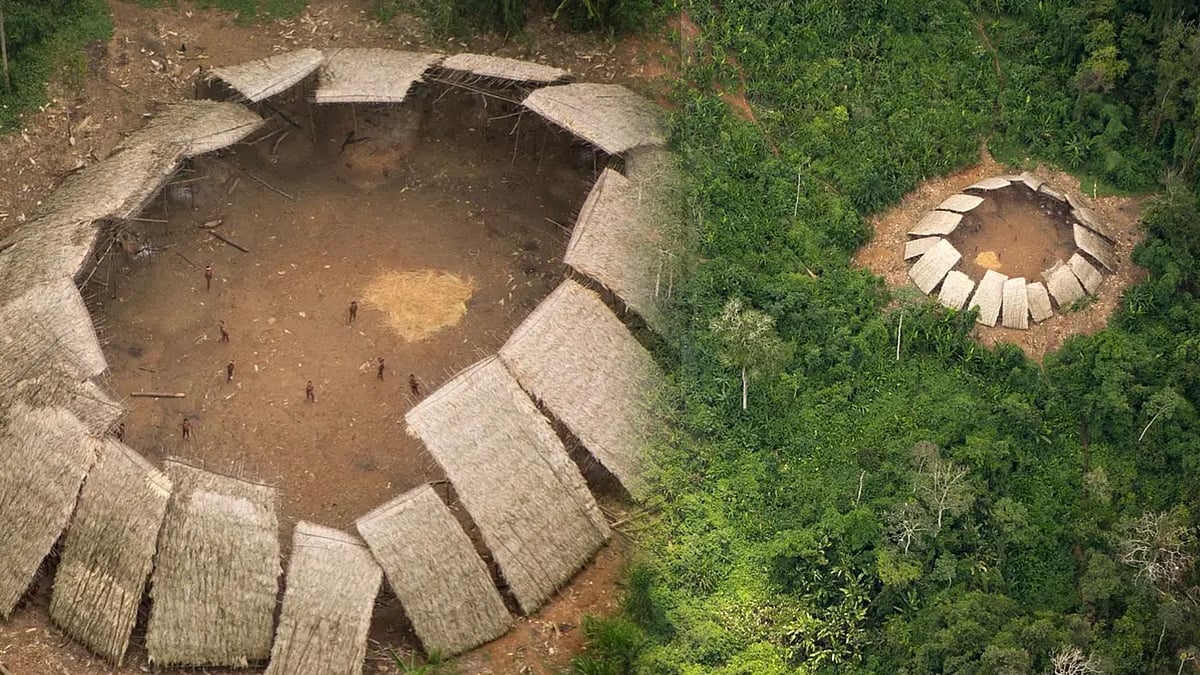 அமேசான் காடுகளில் புதிய பழங்குடி மக்கள் கண்டுபிடிப்பு.. விமானம் மூலம் எடுக்கப்பட்ட புகைப்படங்கள் வைரல் !