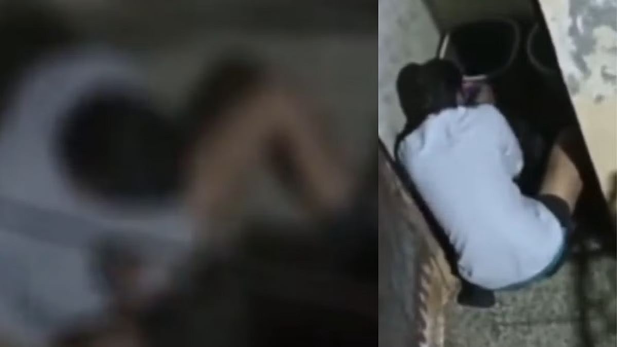 பெண் நாயை தேடி பாலியல் வன்கொடுமை செய்த இளைஞர்.. வீடியோ வெளியானதால் டெல்லியில் அதிர்வலை !