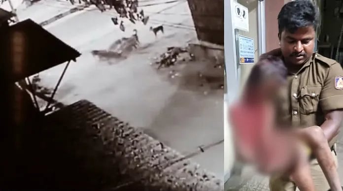 வீட்டின் முன் விளையாடிய சிறுவன்.. துரத்தி துரத்தி கடித்த தெரு நாய்கள்.. இறுதியில் நேர்ந்த சோகம் ! CCTV 