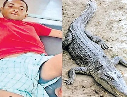 கணவன் உயிரை காப்பாற்ற.. முதலையின் கண்ணில் குச்சியை விட்டு ஆட்டிய சிங்கப் பெண்: நடந்தது என்ன?