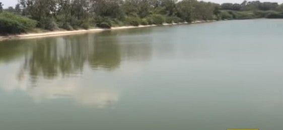 திருமணம் நடந்த 3-வது நாளில் புதுமண தம்பதிக்கு நேர்ந்த துயரம்.. சோகத்தில் மூழ்கிய குடும்பம்!