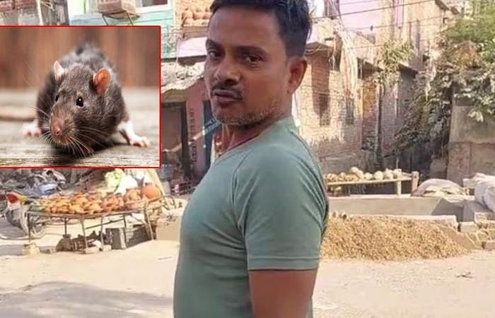 எலியை கொன்றவர் மீது வழக்கு.. அதிரடி காட்டிய காவல்துறை.. 30 பக்க குற்றபத்திரிக்கை தாக்கல்.. பின்னணி என்ன?