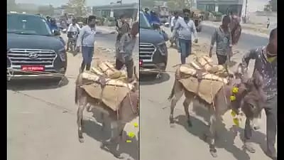 17 லட்சம் ரூபாய் காரை இழுத்துச்சென்ற கழுதைகள்.. வைரலான வீடியோ.. கொதித்த நெட்டிசன்கள்.. வெளிவந்த காரணம் !