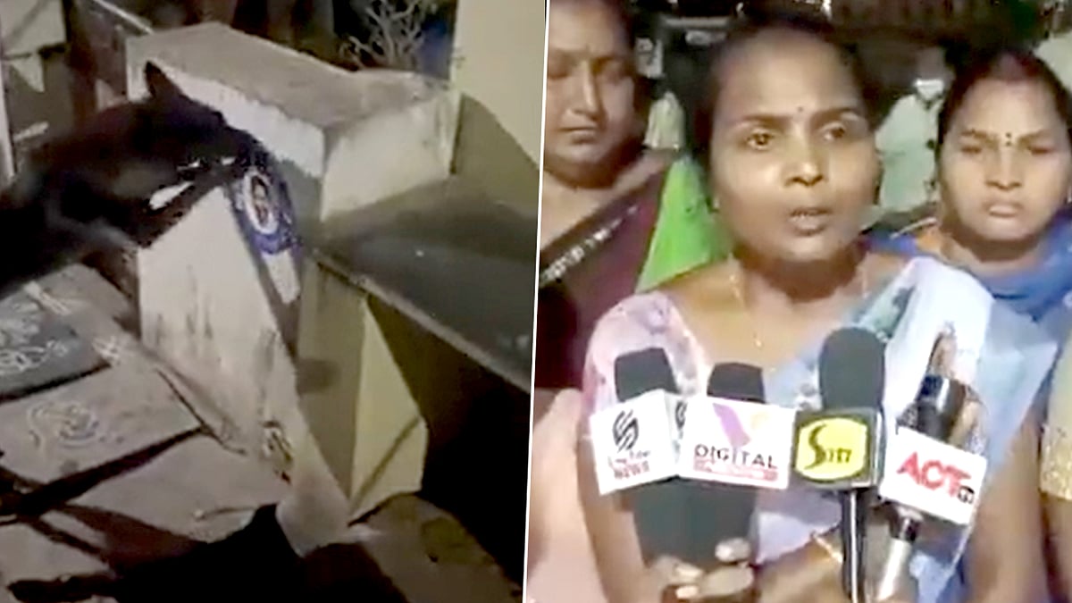 “எங்க இருந்து டா வர்றீங்க..” ஆந்திர முதல்வர் ஸ்டிக்கரை கடித்ததால் ஆத்திரம்.. நாய் மீது பெண் பரபர புகார்!