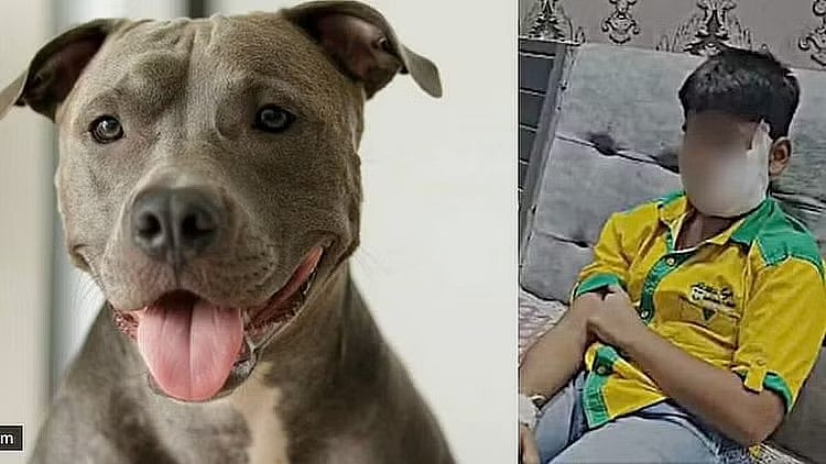 இளைஞரின் அந்தரங்க பகுதியை குதறிய பிட்புல் நாய்.. ஆத்திரத்தில் ஊர் மக்கள் செய்த செயலால் பறிபோன உயிர் !