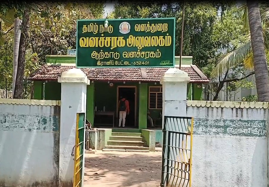 உயிரோடு இருக்கும் பாம்பை கடித்து துப்பிய இளைஞர்கள்.. மாஸாக வீடியோ வெளியிட்ட 3 பேரை தட்டி தூக்கிய போலிஸ் !