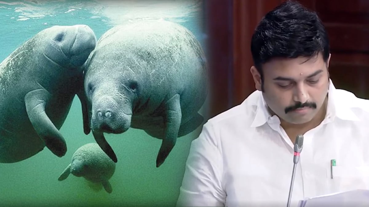 “தஞ்சையில் கடற்பசு பாதுகாப்பு மையம்..” - வனத்துறை அமைச்சர் மதிவேந்தனின் முக்கிய 7 அறிவிப்புகள் என்னென்ன ?