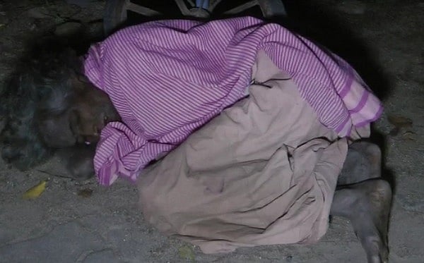 தெரு ஓரத்தில் உணவின்றி உயிருக்கு போராடிய மூதாட்டி.. மீட்டு மருத்துவமனையில் சேர்த்த SP: குவியும் பாராட்டு!