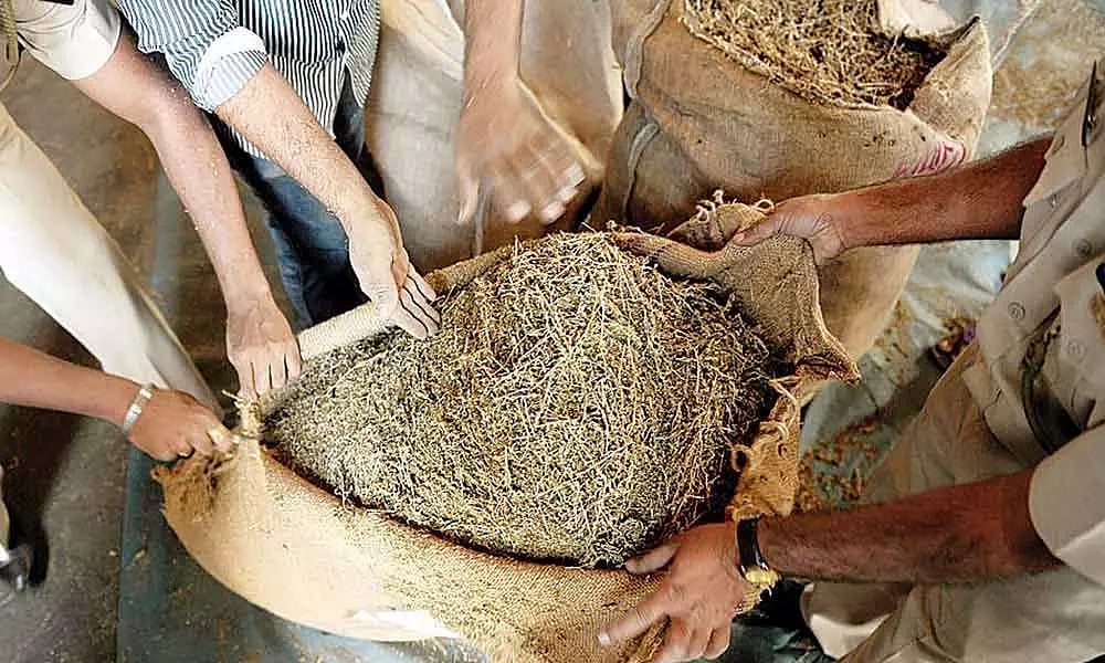 கஞ்சா கடத்தல் வழக்கு: சிங்கப்பூரில் தூக்கிலிடப்பட்ட தமிழர் -ஐநா கோரிக்கையை நிராகரித்து தண்டனை நிறைவேற்றம்