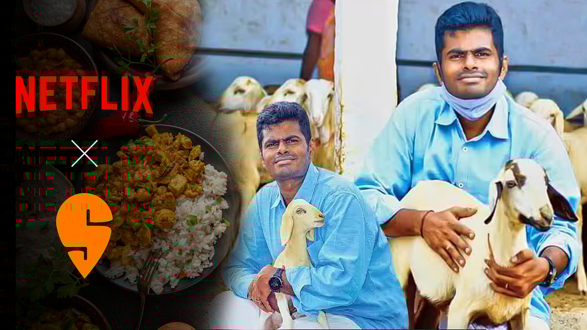 NETFLIX, SWIGGY, 5 ஸ்டார் ஹோட்டல், BookmyShow.. அண்ணாமலை Bank Statement-ல் இருக்கும் முக்கிய தகவல்கள் !