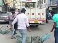 காரில் இருந்து இறங்கிய உதவி ஆட்சியரை கடித்துக் குதறிய தெருநாய்கள்.. மருத்துவமனையில் தீவிர சிகிச்சை!
