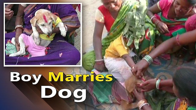 குழந்தைகளுக்கும் நாய்களுக்கும் திருமணம்.. விநோத காரணத்தை கூறி காலகாலமாக கடைபிடிக்கும் பழங்குடியின மக்கள்!