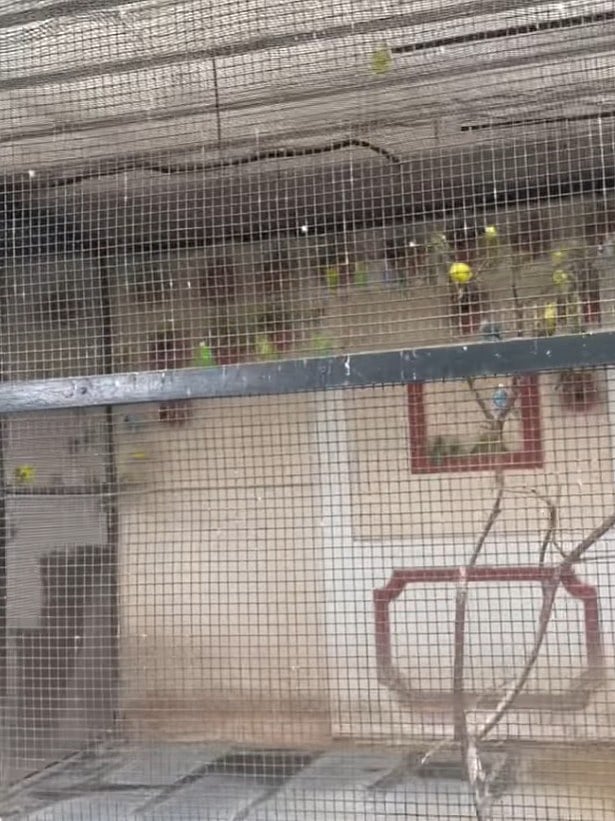 “இது சட்டப்பூர்வமானதா? அதுக்கு மூச்சுத் திணறும்..” -பிரபல Star ஹோட்டல் குறித்து நடிகை ஸ்ரேயா பரபர புகார்!