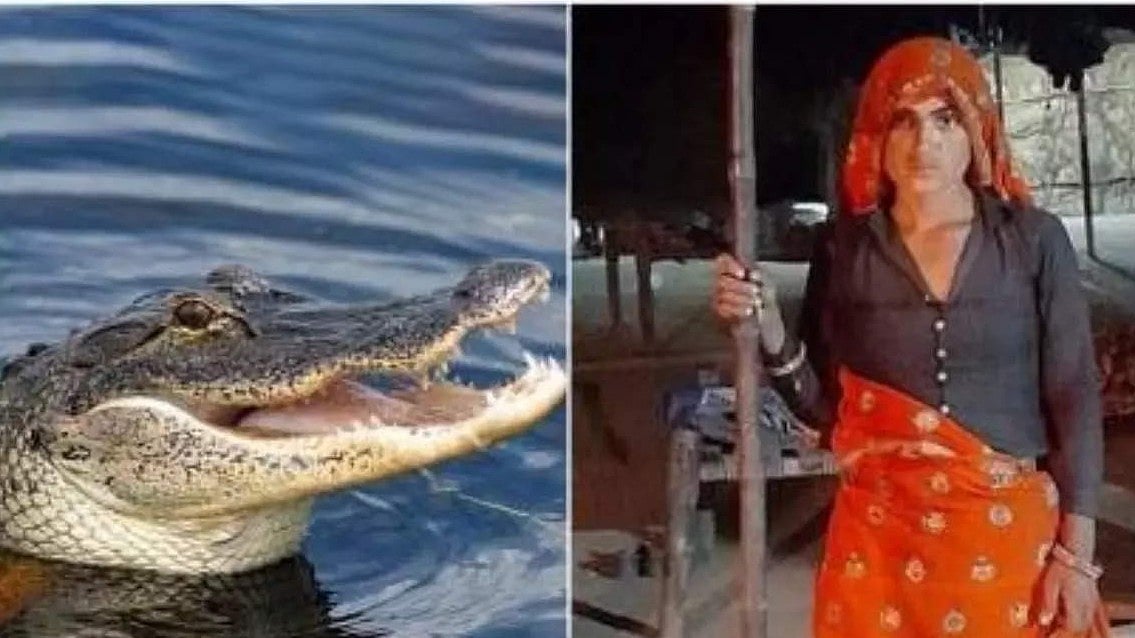 கணவன் உயிரை காப்பாற்ற.. முதலையின் கண்ணில் குச்சியை விட்டு ஆட்டிய சிங்கப் பெண்: நடந்தது என்ன?