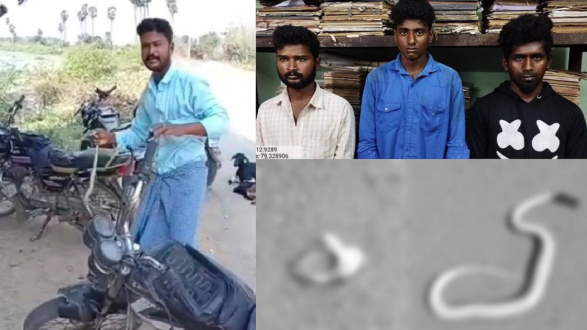 உயிரோடு இருக்கும் பாம்பை கடித்து துப்பிய இளைஞர்கள்.. மாஸாக வீடியோ வெளியிட்ட 3 பேரை தட்டி தூக்கிய போலிஸ் !