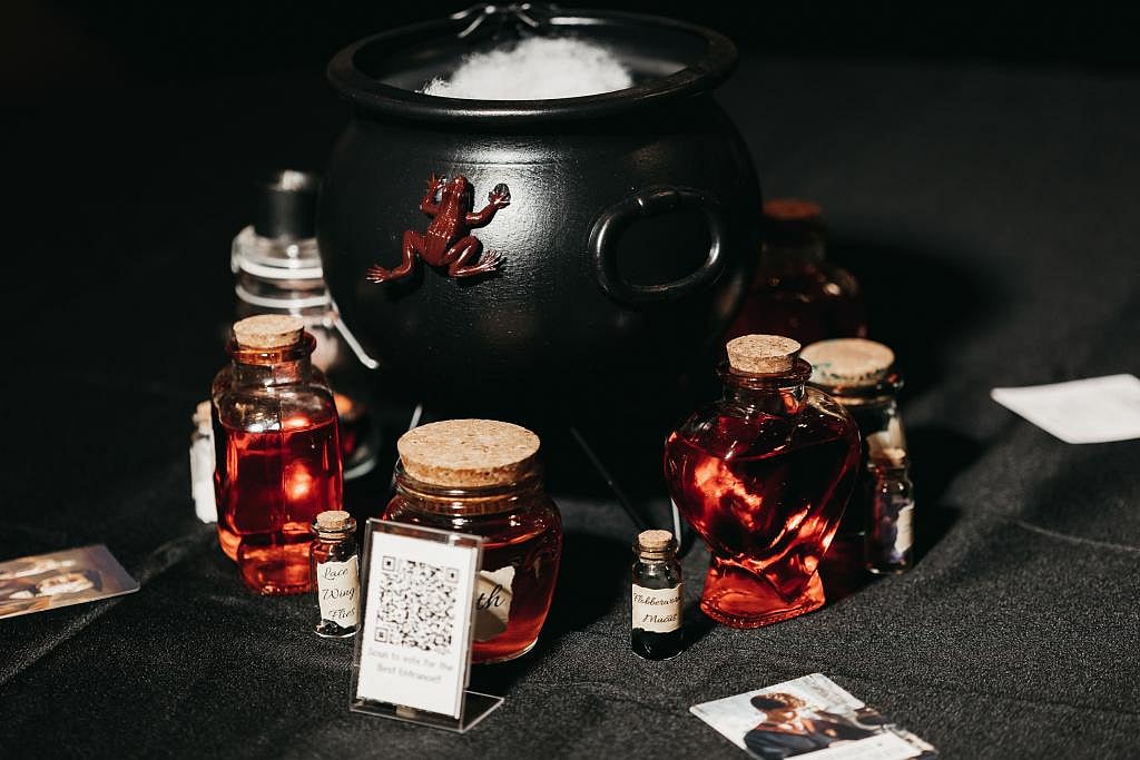 “மந்திரக்கோல்.. டம்பிள்டோர்..” - ப்பா.. Harry Potter பட பாணியில் திருமணம்.. இவ்வளவு லட்சம் பணம் செலவா ?