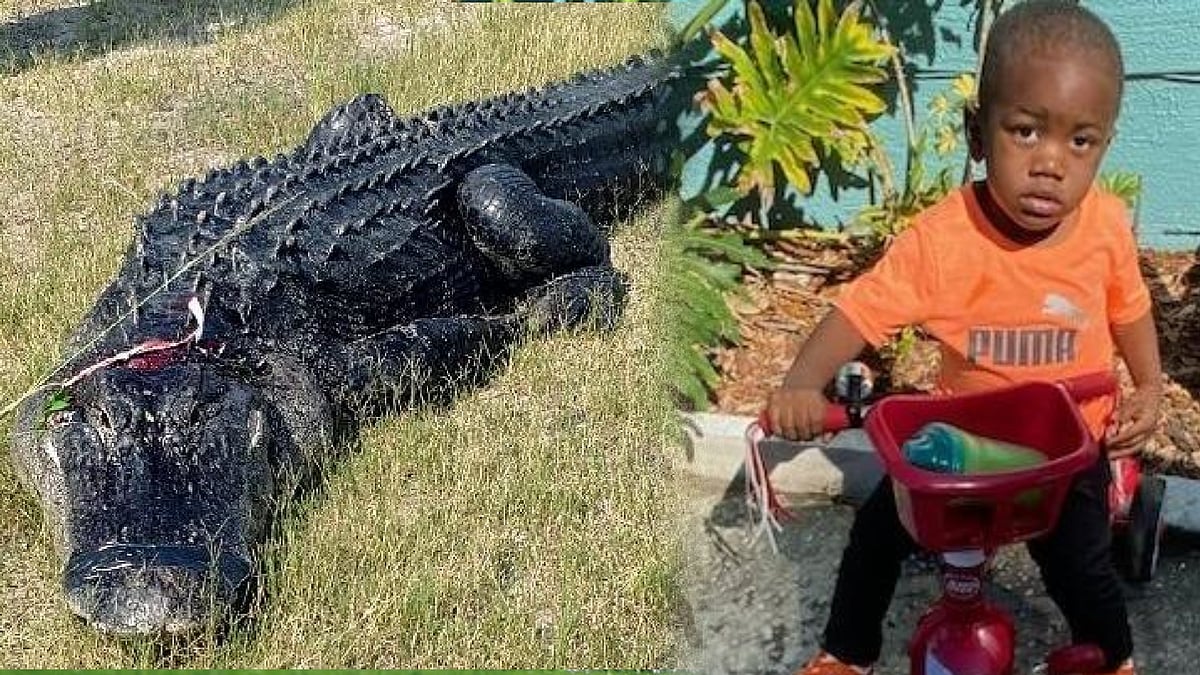 கொலைசெய்யப்பட்ட தாய்.. முதலையின் வாயில்  குழந்தையின் சடலம்.. தந்தை கைது.. அமெரிக்காவை உலுக்கிய சம்பவம்! 