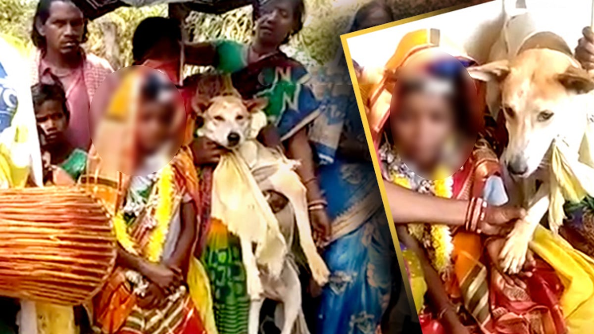 குழந்தைகளுக்கும் நாய்களுக்கும் திருமணம்.. விநோத காரணத்தை கூறி காலகாலமாக கடைபிடிக்கும் பழங்குடியின மக்கள்!