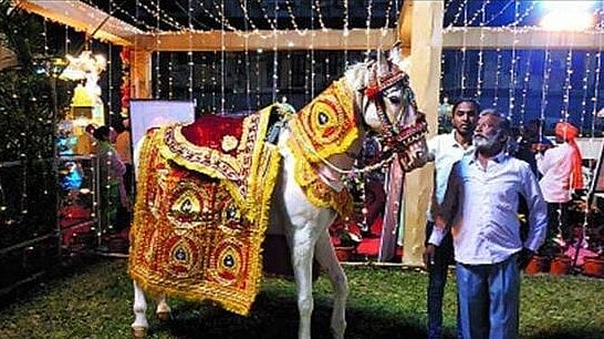 நீ எல்லாம் குதிரையில் ஊர்வலம் போலாமா?.. பட்டியலின இளைஞர் மீது தாக்குதல்: திருமணத்தில் நடந்த கொடூரம்!