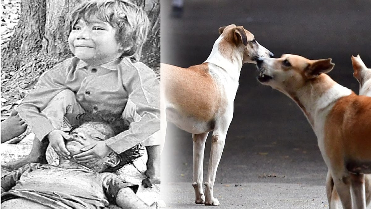 பூங்காவில் விளையாடி கொண்டிருந்த கூலி தொழிலாளியின் மகன்.. கடித்து குதறிய தெருநாய்: இறுதியில் நேர்ந்த சோகம்