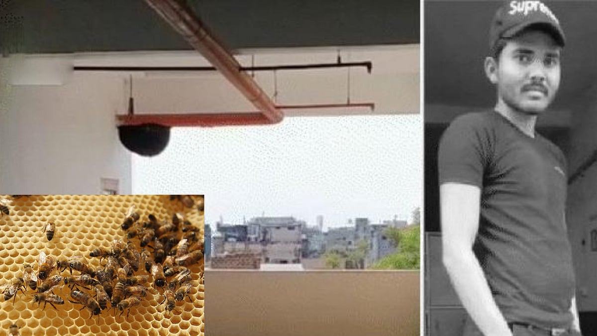 விடாமல் துரத்திய தேனீ.. பயந்து ஓடிய வாலிபர் உடல் சிதறி பலி: மனைவிக்கு பிரசவம் பார்க்க வந்த இடத்தில் சோகம்