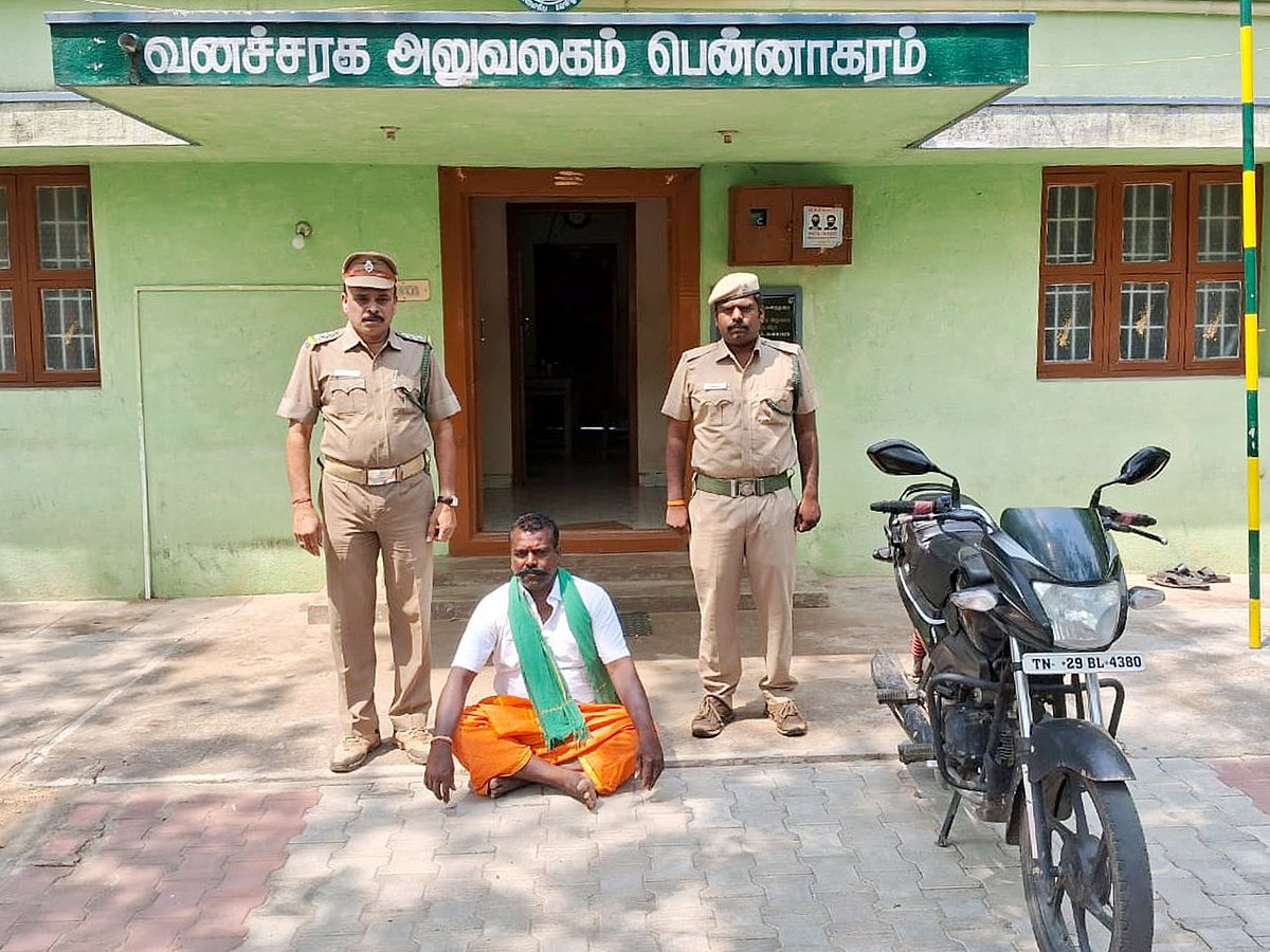 போதையில் ஒற்றை காட்டு யானையிடம் வம்பிழுத்த மீசை முருகேசன்.. தட்டி தூக்கிய வனத்துறை அதிகரிகள் !