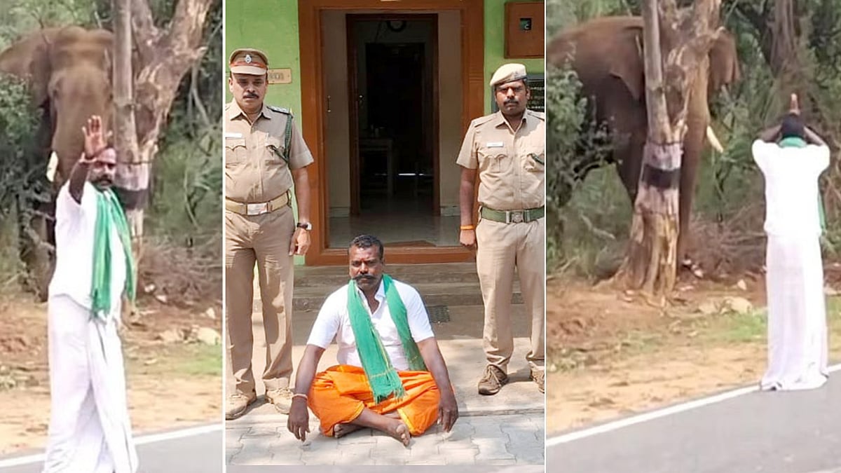 போதையில் ஒற்றை காட்டு யானையிடம் வம்பிழுத்த மீசை முருகேசன்.. தட்டி தூக்கிய வனத்துறை அதிகரிகள் !