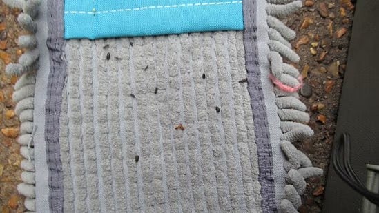 McDonald's பர்கரில் எலியின் மலம்.. நீதிமன்றம் வரை சென்ற பெண்ணுக்கு ரூ.5 கோடி நஷ்ட ஈடு.. என்ன நடந்தது ?