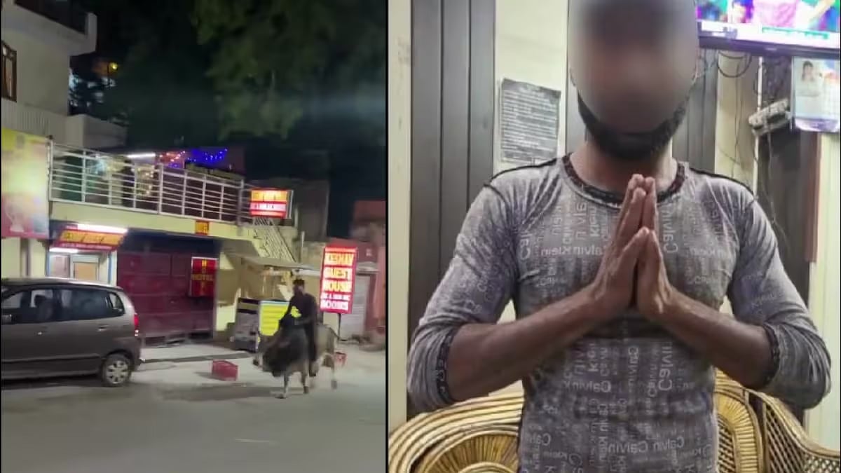 போலாம் ரைட்.. காளை மீது சவாரி.. இளைஞர் செய்த செயலால் அதிர்ந்து போன பொதுமக்கள்: எச்சரித்த போலிஸ்! (VIDEO)