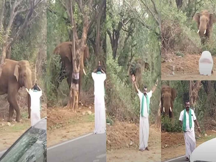 போதையில் ஒற்றை காட்டு யானையிடம் வம்பிழுத்த மீசை முருகேசன்.. தட்டி தூக்கிய வனத்துறை அதிகரிகள் !