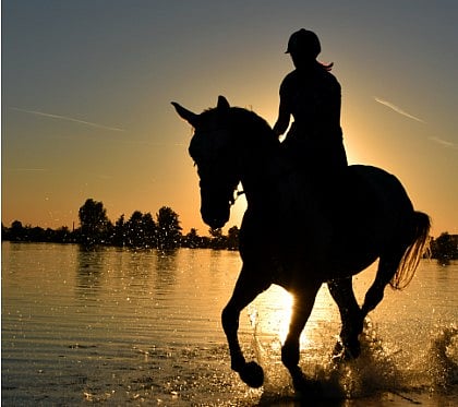 குதிரை வேண்டும் என ஆசையாகக் கேட்ட மகன்.. மறுத்த தந்தை: பின்னர் நடந்த அதிர்ச்சி சம்பவம்!