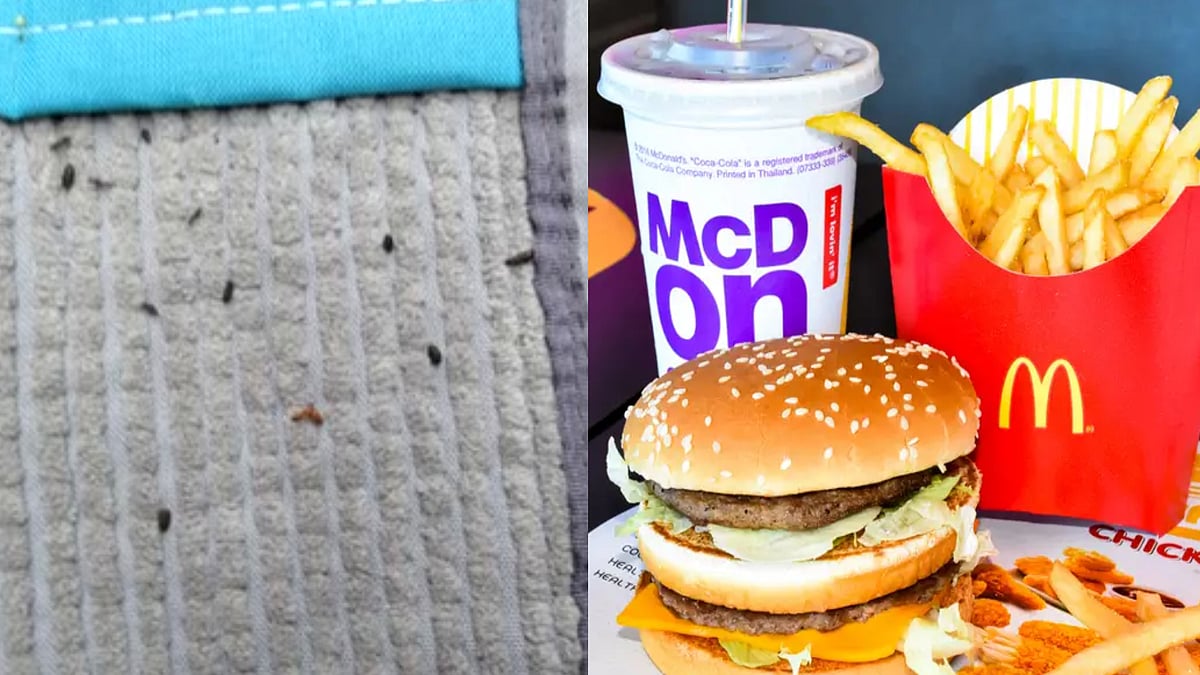 McDonald's பர்கரில் எலியின் மலம்.. நீதிமன்றம் வரை சென்ற பெண்ணுக்கு ரூ.5 கோடி நஷ்ட ஈடு.. என்ன நடந்தது ?