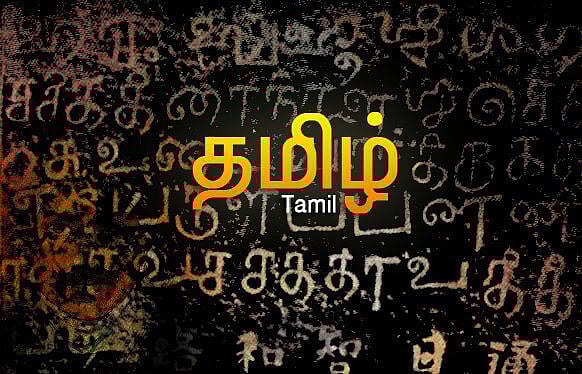 பாஜகவின் நாடகங்கள் தமிழ்நாட்டு மக்களால் ஒதுக்கித் தள்ளப்படும்,, தூக்கி வீசப்படும்! -முரசொலி விமர்சனம் !