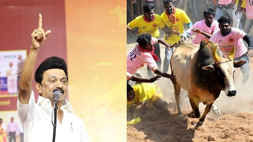 தமிழ்நாட்டு வரலாற்றில் பொன்னெழுத்துகளால் பொறிக்கத்தக்கது: உச்சநீதிமன்ற தீர்ப்புக்கு முதலமைச்சர் வரவேற்பு!